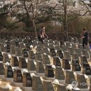 제주 memory 이미지