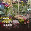 블루블룸 - 부천시 오정구 | 천안꽃집 불당동 블루블룸 화분구매후기