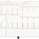 유성준동물병원 이미지