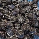 금순 농장 이미지