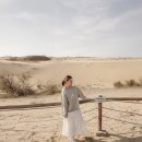 사초 해변공원 | 태안여행 신두리해안사구 이국적인 사막 트레킹! 주차 포토존 총정리