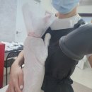 페르시안캣 | 사이좋은 부부 고양이 대전 페르시안캣 고양이호텔 후기 ~