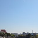 제주공상 이미지