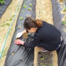 두루춘풍 이미지