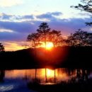 에이원 CC 이미지