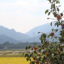 의사김응삼순절비 이미지