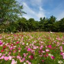 플라자농장 이미지