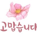 네스시스템 이미지