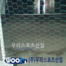 남성초등학교 티스토리