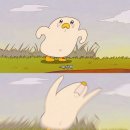장수 쭈꾸미