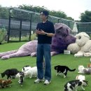 종합동물약품 이미지