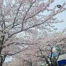 용화찜 이미지