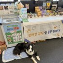 도그와트 이미지