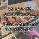 해나라3호 | [동탄 남광장 맛집] 회식장소 추천 램미가양갈비양꼬치 동탄3호점 방문후기