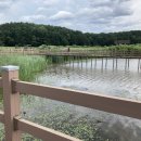 송정교~송강마을 이미지