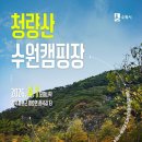 봉화 이데일리