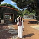 선택목장 | 제주 목장카페 밭디 내돈내산 서귀포 소품샵 말먹이주기 체험