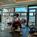 매직바디짐 이미지