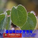 MH 행정사 이미지