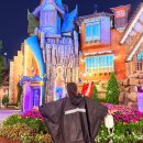 스와니 펜션 | 경주월드 놀이기구 종류 평일 오후권 시간 알차게 즐기기