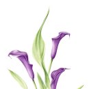 유화(아크릴화) 이미지