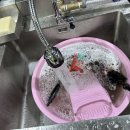 원탑세차장 이미지