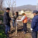 왕숙천변 이미지