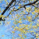 양주시회천노인복지관 경로식당 이미지