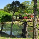 꼭대기집 이미지