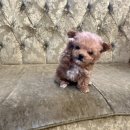 미사강변동로 이미지