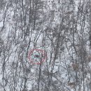 안내면행정복지센터 이미지