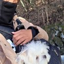 용두어린이공원1 | 앞산등산코스 추천_강당골/고산골/잣나무단지/산성산/용두토성전망대 코스