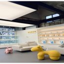 부산강아지분양 유독 이미지