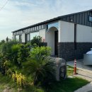 스테이돌덕 이미지