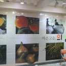 의성군청(1층) 네이버블로그