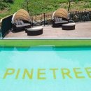 파인트리키즈풀빌라 이미지