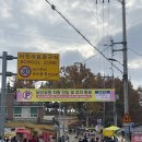 중앙로+진각로 이미지