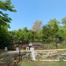 마루펜션&리조트 | [강화도 펜션] ‘로만티카 애견리조트 펜션’ 후기 및 정보, 내돈내산