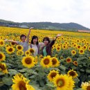 박상수농장 이미지