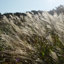 산내참조은 이미지