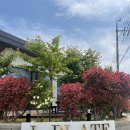 엘플레이트풀빌라 이미지