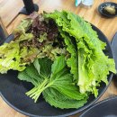 쌈사랑 쌈밥 | +용인 쌈사랑 후기🥬 쌈 무한리필은 만족!