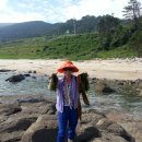 바다랑 파도랑 이미지