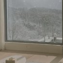 스테이사암 이미지