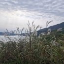 브레인건강센터 이미지