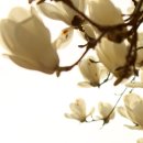 연서우체국 이미지