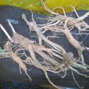 상인의료기 이미지