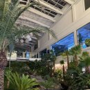 주식회사 팜브릿지케어 | 서울근교 밤 드라이브 고모리 팜브릿지 카페