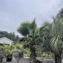 채우다,제주 | 채우다 제주