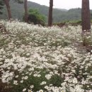 지리산길민박 이미지